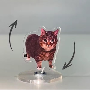 Mignon chat Oiiai nouveau motif acrylique 360 rotation chaton supports pour décoration de bureau décor à la maison voiture moto