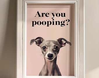 Are you pooping poster, italian greyhound poster, pink poster, bathroom wall art, funny italian greyhound, funny bathroom wall art,greyhound