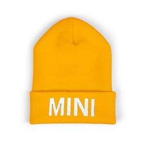 Mini Embroidered Cuffed Beanie Kids Hat