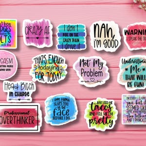 14 Sarcastic Vinyl Sticker Pack | 2.5&quot; Funny Waterproof Stickers for Laptops, Water Bottles, Journals, Adults | Snarky Sticker Bundle