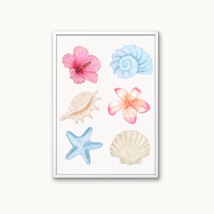Op de afbeelding: Een ingelijste print met aquarel illustraties van verschillende schelpen en bloemen. Het kunstwerk bevat een roze hibiscus, een lichtblauwe spiraalschelp, een beige schelp, een roze en oranje frangipani, een lichtblauwe zeester en een witte sint-jakobsschelp.