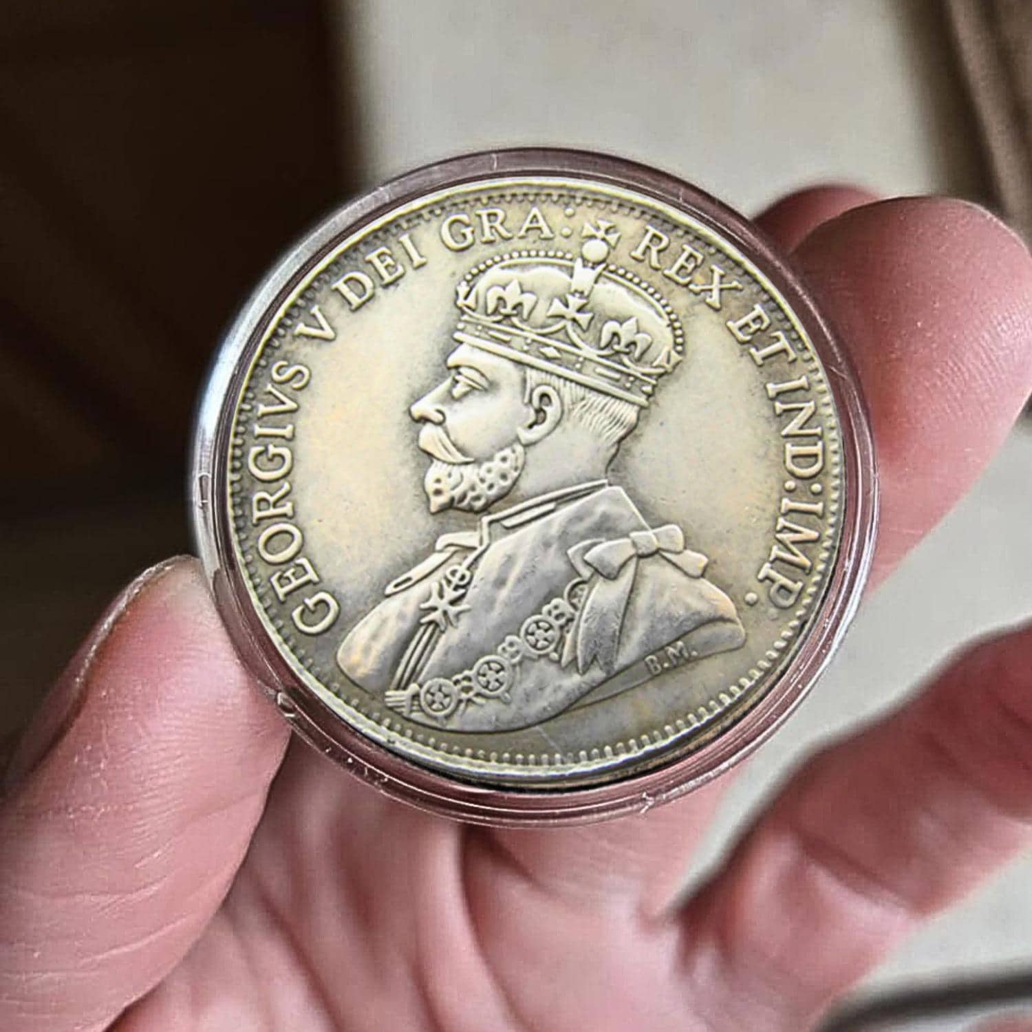 Canada 1 dollar coin - Etsy 日本