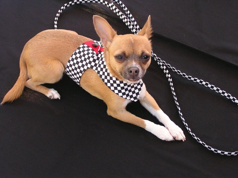 Dog Harness For Toy Breeds Dog Harness For Toy Breeds