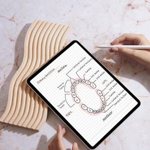 Aide-mémoire pour le tableau des soins dentaires sur l'hygiène dentaire Guide de référence sur la dentition permanente primaire