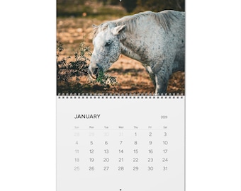 Arizona Wild Horses Calendar 2026 Wall Calendar | Scenic Wildlife Months