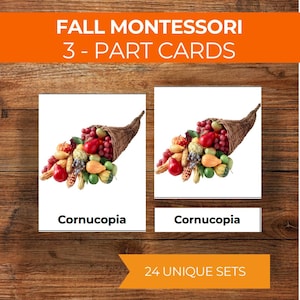 Fall Montessori 3 - Part Cards Printable Autumn Nomenclature Cards Fall Flashcards for Preschool Homeschool Kindergarten Autumn Vocabulary