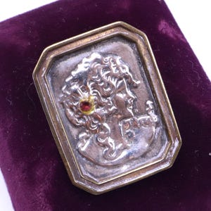 May include: A rectangular brooch featuring a silver-toned relief of a profile portrait with curly hair. The portrait is accented with a small, circular red gemstone set within the hair. The relief is framed by a polished brass-colored metal border.