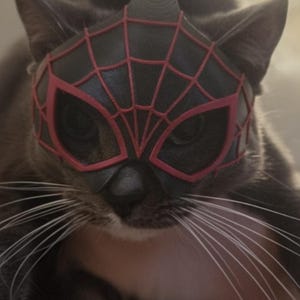 Spidey Miles Morales Cat Mask – 3D Printed Superhero Cosplay Prop for Cats | Spider Hero Inspired Costume Mask | Feline Cosplay Accessory