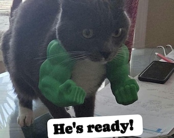 Hulk ROZBIJA!! Kocie ramiona!