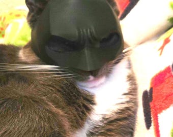 Batcat 3D Cat Helmets -- Superhero kitty Cosplay I'm Batcat!!