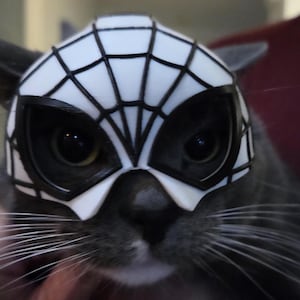Spidey Cat Mask – 3D Printed Superhero Cosplay Prop for Cats | Spider Hero Inspired Costume Mask | Feline Cosplay Accessory