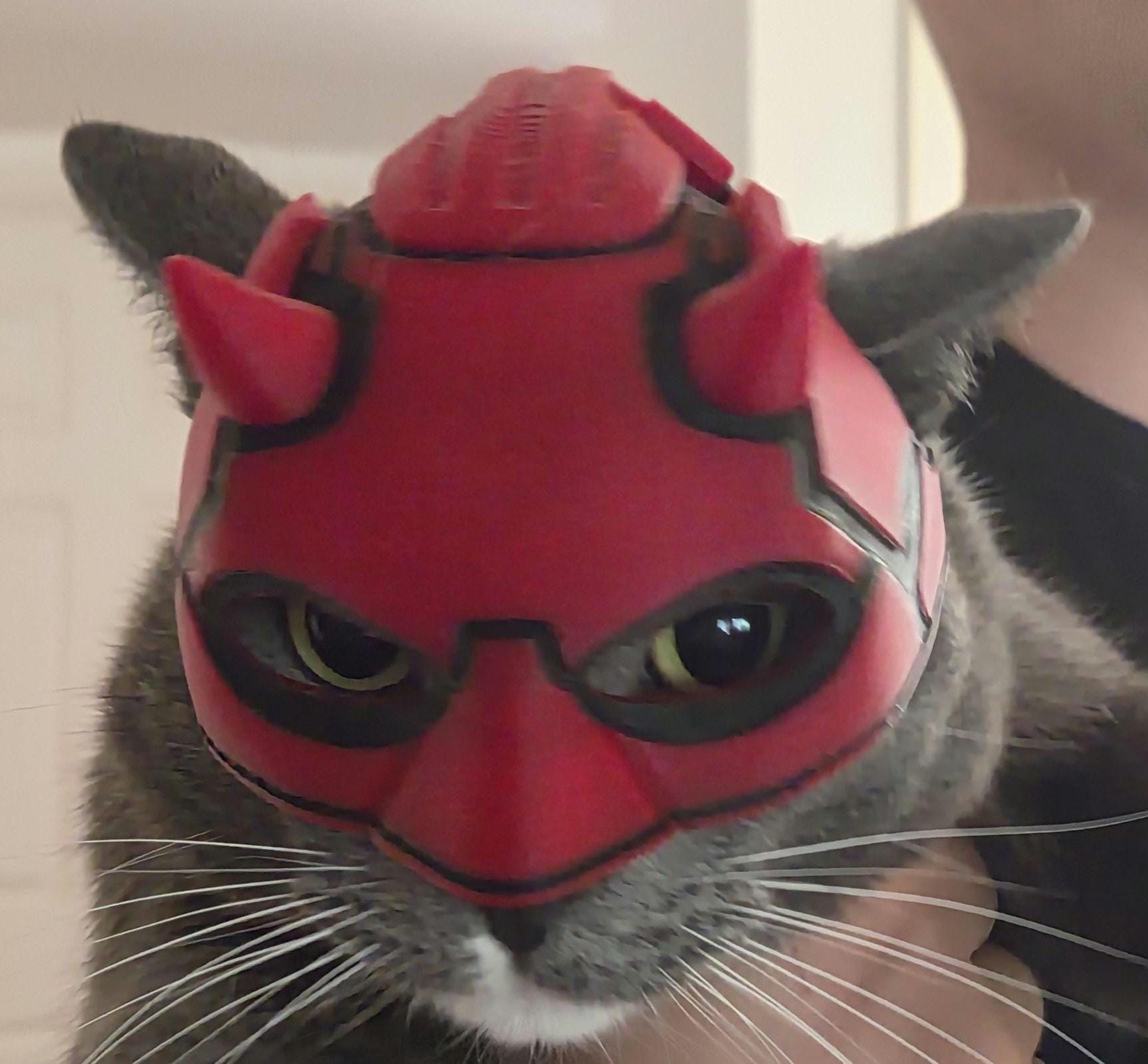 Daredevil Cat Mask: 3D Printed Superhero Costume Prop - Etsy
