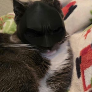Batcat 3D Cat Helmets Teen Creator