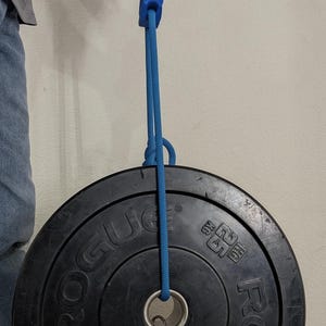 Puede incluir: Un asa de espuma azul unida a una cuerda azul, que sostiene una placa de peso negra. La placa de peso tiene la palabra "ROGUE" y "25 KG" impresas. La cuerda est&aacute; en bucle a trav&eacute;s del centro de la placa.