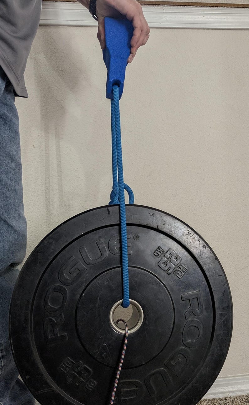 Puede incluir: Un asa de espuma azul unida a una cuerda azul, que sostiene una placa de peso negra. La placa de peso tiene la palabra "ROGUE" y "25 KG" impresas. La cuerda est&aacute; en bucle a trav&eacute;s del centro de la placa.