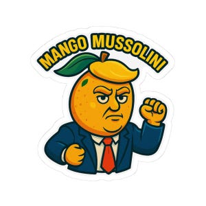 il_300x300.6896991166_75wo.jpg