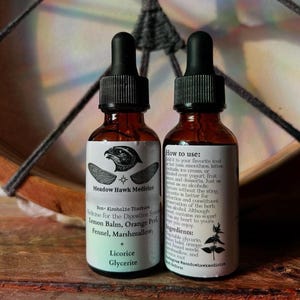 Seasonal Belly Support Glycerite | Lemon Balm + Fennel | Alcohol-Free