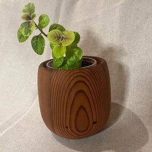 May include: A small houseplant in a wooden pot. The pot is a dark brown color with a rounded shape and visible wood grain. The plant has green and yellow leaves.