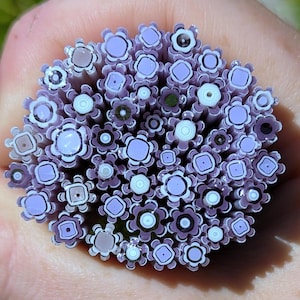 May include: Close-up of a bundle of small, decorative glass rods. Each rod features a floral design with lavender, white, and dark purple hues. The ends of the rods are visible, showcasing the intricate patterns. The rods are held in a hand.