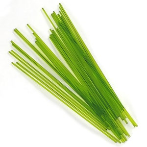 May include: A bundle of thin, green glass rods, approximately 12 inches long, for use in glassblowing or other craft projects.