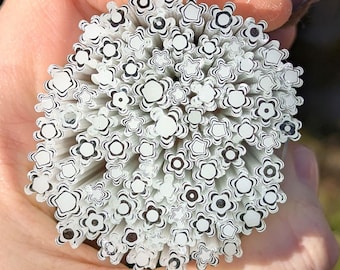 Palitos de Murrine de Flor de Nieve - Vidrio Fusible COE 96