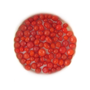 Pimento Red Opal Frit Balls - COE 90 Bullseye Fusable Glass - FB0225