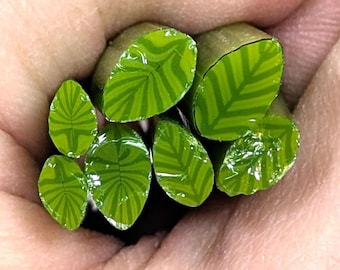 May include: A collection of six cylindrical polymer clay canes featuring a vibrant green and lime green leaf pattern. Each cross-section displays a detailed, symmetrical vein structure in a lighter shade of green against a darker green background.