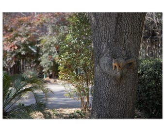 Natural Camouflage by Jonathan King