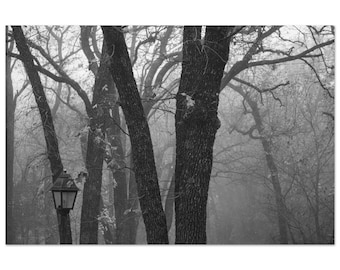 Unlit Path by Jonathan King