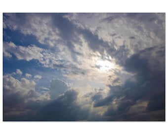 Born from the Storm by Jonathan King