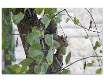 Getting my good side by Jonathan King