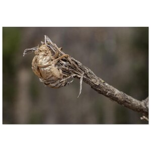 Letting go of the past by Jonathan King