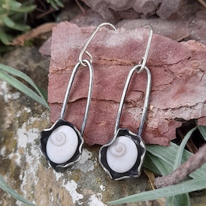Shiva Eye Earrings. Shell Earrings. Sterling Silver And Shiva Earrings. Dangle Shiva Earrings.  Sterling Silver Shell Earring. shiva Eye.