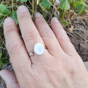 Shiva Eye Ring. Adjustable Ring. Opan Ring. Shell Ring. Shiva Eye Jewelry. Handmade.