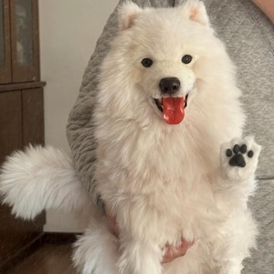 Custom dog plush toys | Photo-based plush dogs | Lifelike pet replica dog plush toys | Handmade custom dog sculptures | Gifts for pet loss