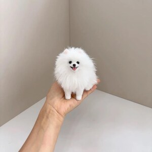 Custom Dog Replica Sound Plush | Photo-to-Plush | Replica w/ Fur Baby’s Voice | Lifelike Pet Plush | Gifts for Lost Dogs