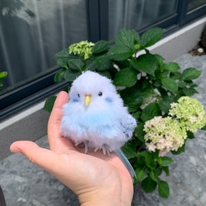 Custom parrot plush toy replicas | Photo-to-plush parrots | Lifelike pet-replica parrot plush dolls | The perfect gift for pet enthusiasts