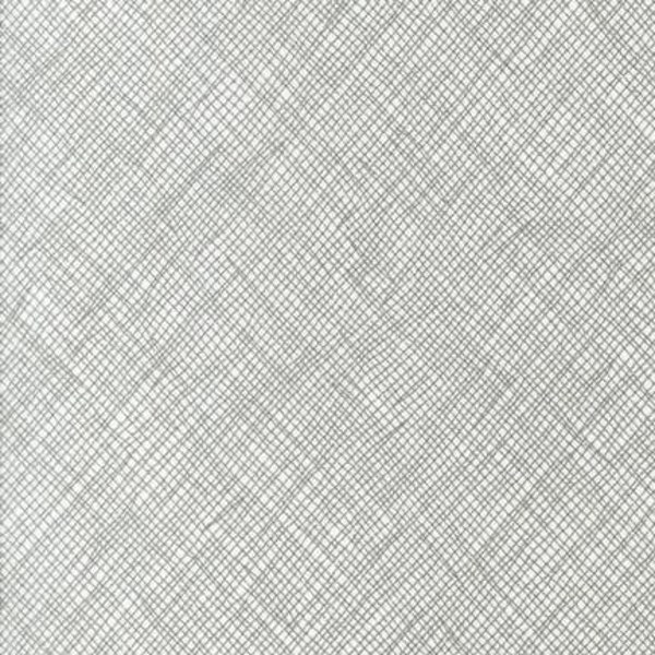 WIDESCREEN by Carolyn Friedlander - Grey - 108" Quilt Backing