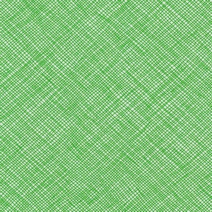 WIDESCREEN by Carolyn Friedlander - Grasshopper - 108" Quilt Backing