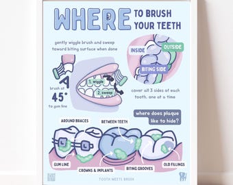 May include: A light blue educational poster titled WHERE TO BRUSH YOUR TEETH, featuring illustrations of teeth, gums, and toothbrushes. It includes instructions on brushing at a 45-degree angle, covering three sides, and identifying plaque locations.