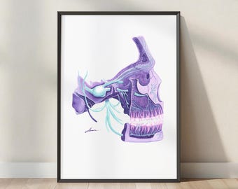 May include: A framed anatomical illustration of a human skull profile in shades of purple and blue. The artwork highlights the jaw, teeth, and nerve pathways in a detailed watercolour style, featuring a signature in the lower left corner.
