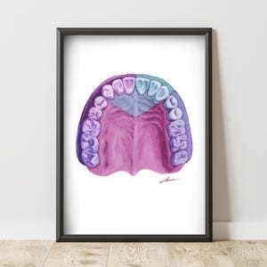 Pink Maxillary Arch | Hand-Painted Dental Watercolor Art Print | Local Anesthesia Nerve Blocks | Dentist Office Decor
