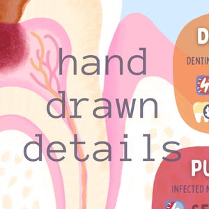 May include: A hand-drawn educational illustration of a tooth cross-section featuring pink, cream, and orange tones. The graphic includes text labels for DENTINE and PULP, along with icons and descriptive text regarding dental health conditions.