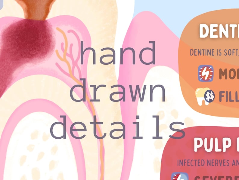 May include: A hand-drawn educational illustration of a tooth cross-section featuring pink, cream, and orange tones. The graphic includes text labels for DENTINE and PULP, along with icons and descriptive text regarding dental health conditions.