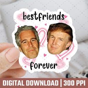 50 Stück Best Friends Trump Epstein Aufkleber PNG, Anti Trump Aufkleber, Politischer Satire Aufkleber, Elite Island Aufkleber, Demonstration Aufkleber, Anti Maga