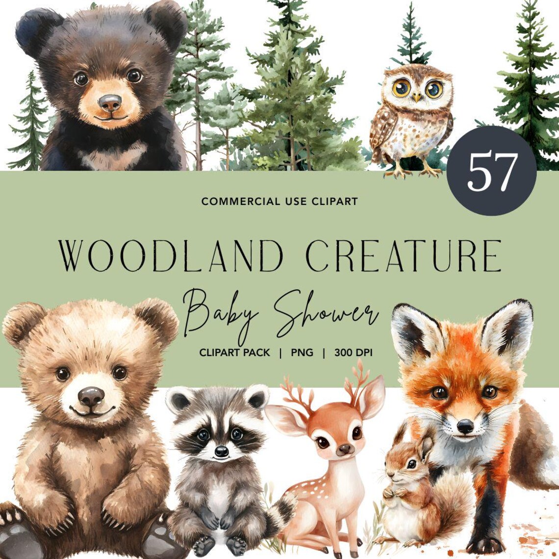 Woodland Clipart Baby Shower, High Resolution and 300 Dpi, Watercolor ...