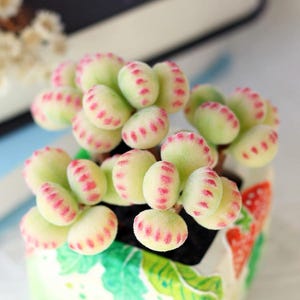 Handmade Clay Bear Paw Succulent: Faux Plant Desk Decor
