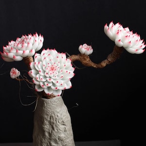 Handmade Clay Succulent: Echeveria Plant, Realistic Faux Plant Desk Decor