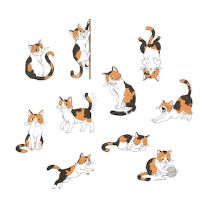 PNG SVG - Imágenes prediseñadas de gatos dibujados a mano con líneas y colores – 20 ilustraciones minimalistas de gatitos