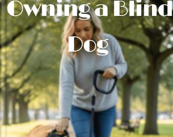 Guidance for Owning Blind Dog